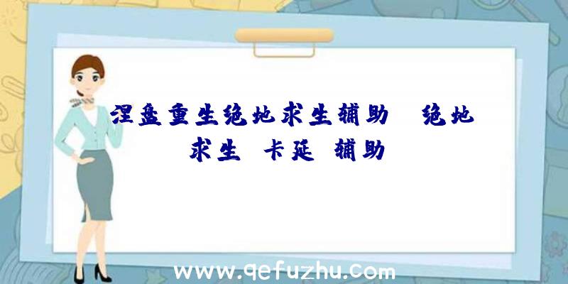 「涅盘重生绝地求生辅助」|绝地求生